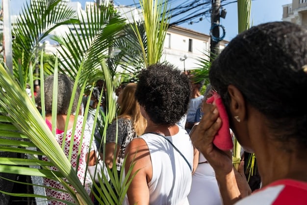 5 Documentários Brasileiros Essenciais para Entender o Brasil Atual